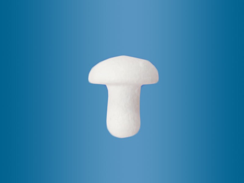 cotton wool mushroom